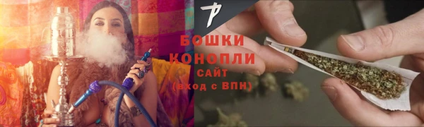 спиды Новозыбков